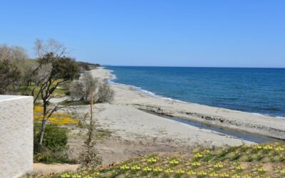 Résidence de tourisme Corse du Sud bord de mer : le guide ultime pour des vacances inoubliables