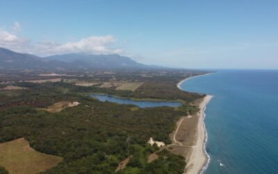 Les incontournables à vivre autour de votre résidence de vacances en Corse du Sud avec piscine : entre mer, montagne et traditions